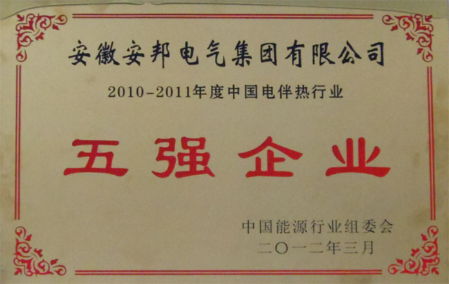 中國電杏吧论坛十年行業五強企業